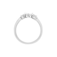 SP36 nhan(chinh dien toan)